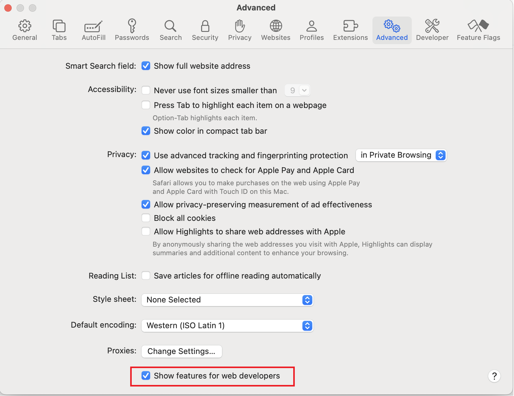 safari_settings_enable_dev